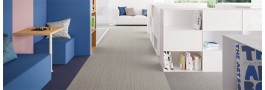 First Straightline | Modulyss 25 (new 2021)